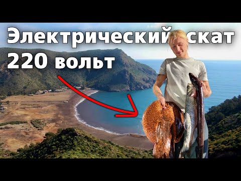 Видео: Весело конечно, но я мог погибнуть...