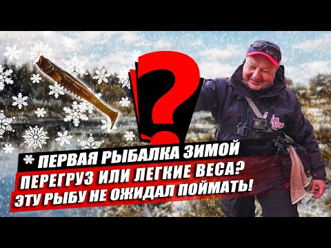 Видео: Зимний спиннинг: неожиданная поимка на первой рыбалке в декабре. Сработал перегруз или лёгкие веса?