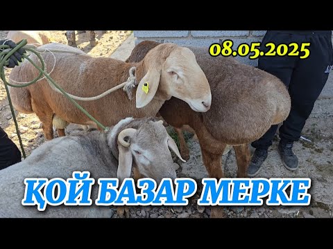 Видео: ҚОЙ БАЗАР МЕРКЕ / МАЛ БАЗАР