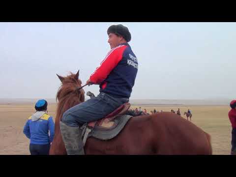 Видео: Ақмешіт ауылы Қуат ағамыздың  көкпары