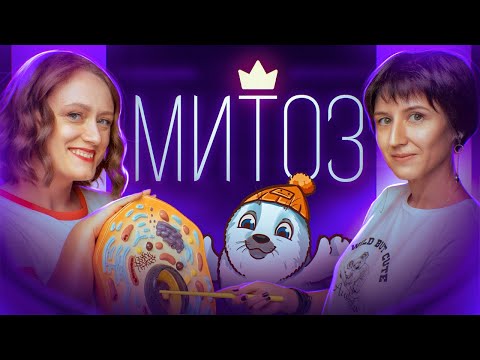 Видео: Митоз | ЕГЭ по биологии 2025