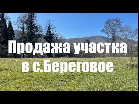 Видео: 🏞️Продажа отличного участка в с.Береговое (Геленджик). 🔥 +79219380696