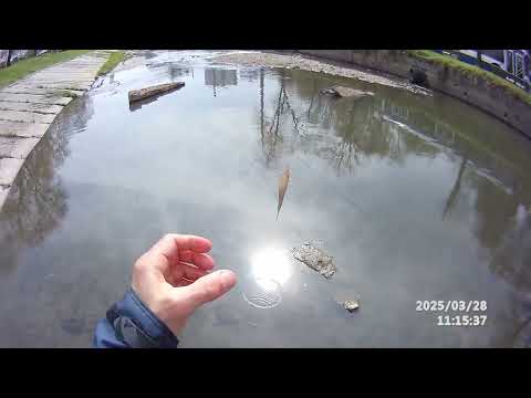 Видео: Fly fishing . Кишинев . Длинный нимфинг с индикатором...Ловим пескаря на реке Бык .