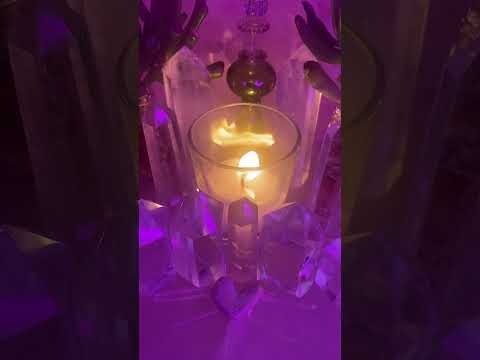 Видео: 🦊Обманут кармой, чтобы предать вас ради денег 💰⚖️🔄⚡️🚨🧹😱