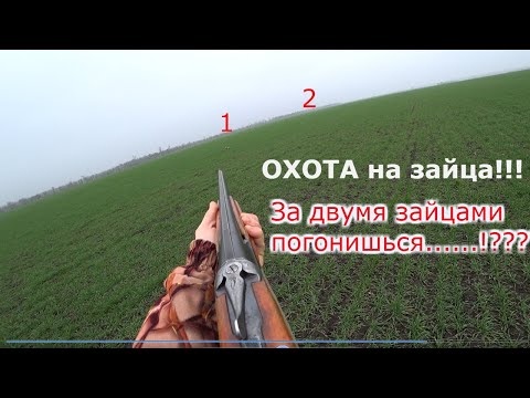 Видео: Охота на зайца!!!!За ДВУМЯ зайцами погонишься......!?СУПЕР ОХОТА 2020!!!!!