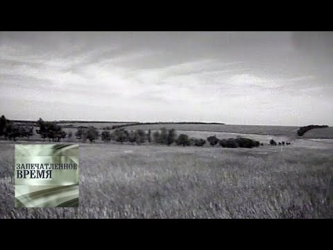 Видео: Первая весна / Запечатленное время