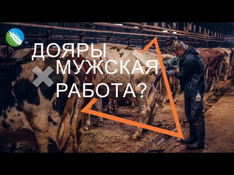 Видео: Профессия - оператор машинного доения