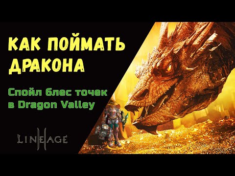 Видео: Спойл S блес випок, арморок в Dragon Valley   Долина Драконов Подробный гайд