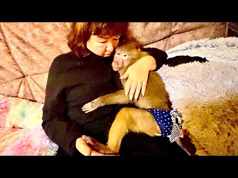 Видео: Вы ХОТИТЕ ПОСМЕЯТЬСЯ, это к нам! Люся обиделась на папу и они с мамой ЖГУТ