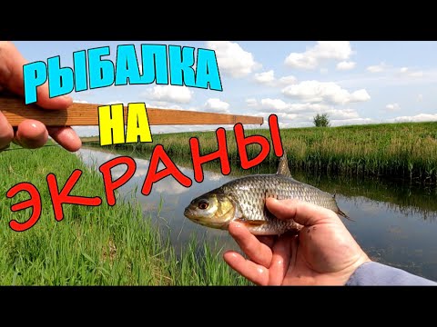 Видео: И Всё Таки Рыбу Я Нашёл! ШИКАРНЫЙ УЛОВ НА ЭКРАНЫ.