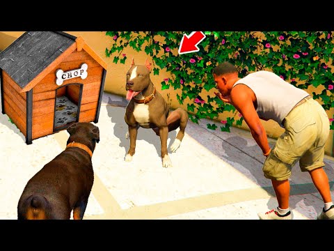 Видео: ЧОП ЖАҢА ДОСЫН ЕРІТІП КЕЛДІ (GTA V)