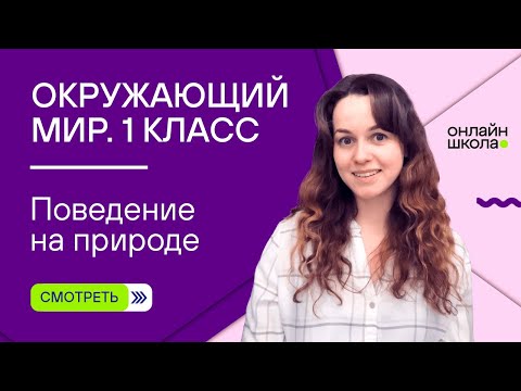 Видео: Видеоурок 23. Поведение на природе. Окружающий мир 1 класс