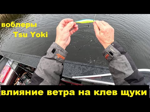 Видео: Ветер и клев.  Воблеры Тсу Еки и их характеристики.