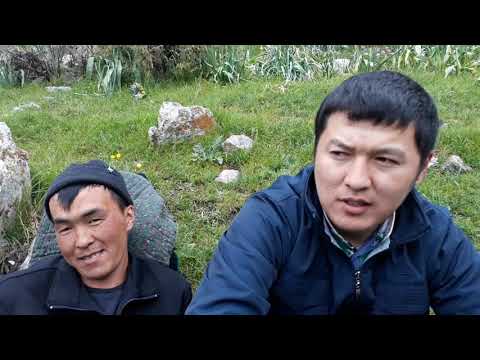 Видео: Биз жайлоо