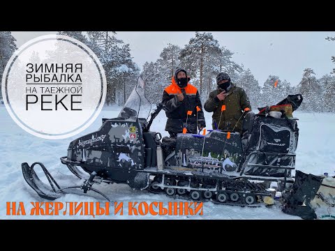 Видео: Зимняя рыбалка на таежной реке. Ловим на жерлицы и косынки.