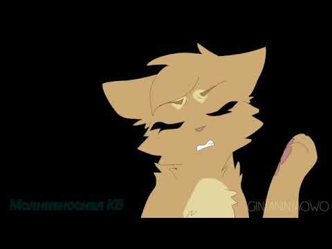 Видео: ||Коты-Воители клип "Где ты взялся на мою голову" Огнезвёзд и Песчаная Буря||