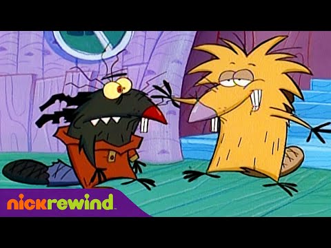 Видео: Крутые бобры | 1 Cезон 1 Cерия | Nick Rewind Россия