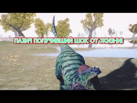 Видео: ПАХИЧ ПОЛУЧИЛ ШОК 😱 ОТ ЖИЗНИ! ВЫЖИВАНИЕ ЗА ПАХИЦЕФАЛОЗАВРА В The Cursed Dinosaur Isle! ВЫЖИВАНИЕ!