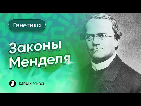 Видео: Теория: Законы Менделя