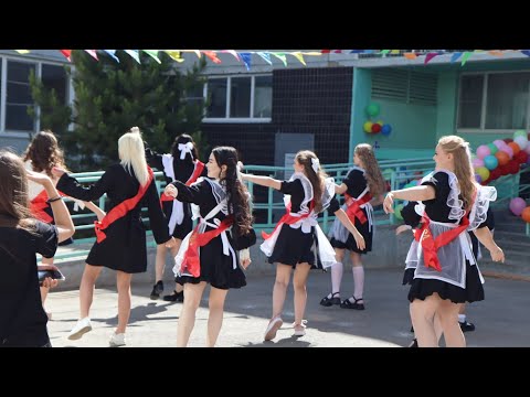 Видео: ФЛЕШМОБ выпуск 2024 ПОШЛАЯ МОЛЛИ нон стоп 💋