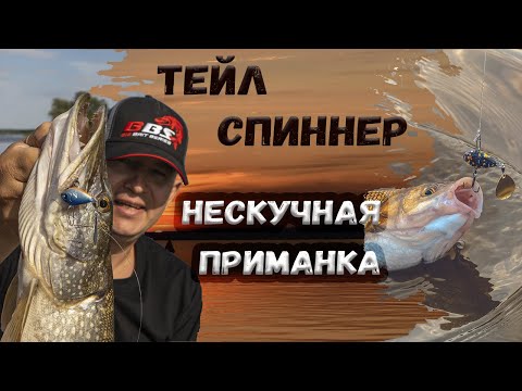 Видео: ТЕЙЛ-СПИННЕР делает РЫБАЛКУ! Нескучной! #едунарыбалку
