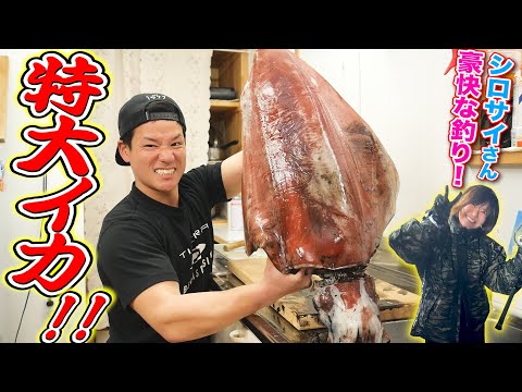 Видео: Огромный 7-килограммовый кальмар прибыл от красивой рыбачки!