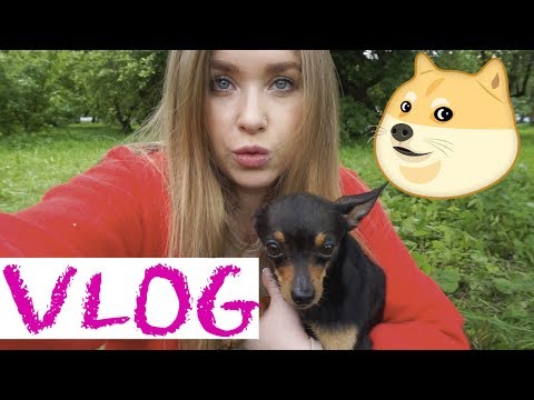 Видео: Пикник с собакенами :)) I VLOG