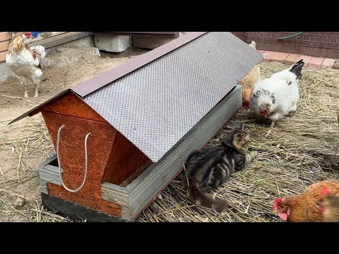 Видео: Бункерная кормушка будет работать долго Куры несушки