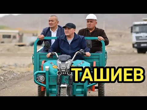 Видео: ТАШИЕВ МОТО-МУРАВЕЙ минип КЕЛДИ