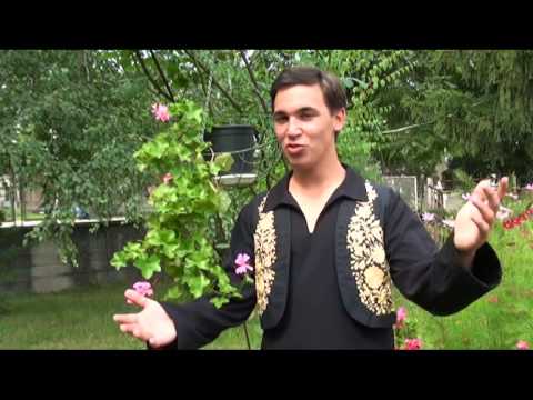 Видео: ПЕТЪР КИРИЛОВ - Марийка ходи за вода