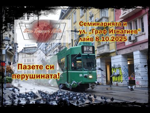 Видео: КОГАТО ТРАМВАИТЕ СРЕЩНАТ ГЪЛЪБИТЕ I СЕМИНАРИЯТА И УЛ. „ГРАФ ИГНАТИЕВ“ 8.10.2025 ФОТО ЛАЙВ