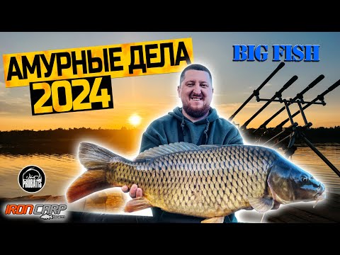 Видео: Поймали BIG FISH. Турнир "Амурные Дела 2024". Карпфишинг.