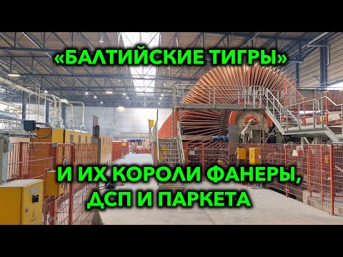 Видео: Лесообработка стран Балтии: фанера, пиломатериалы и экспорт на миллиарды