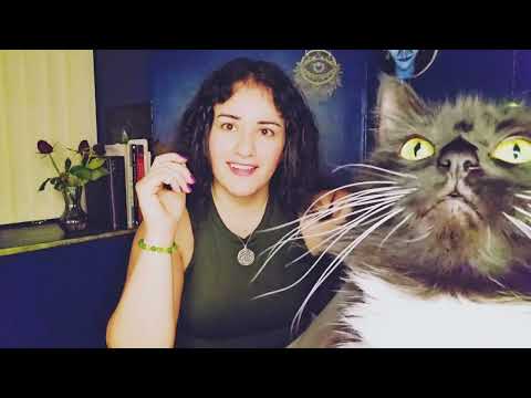 Видео: Близнецы ♊️ Этот человек — игрок, притворяющийся единственным для стольких людей, что они обманыв...