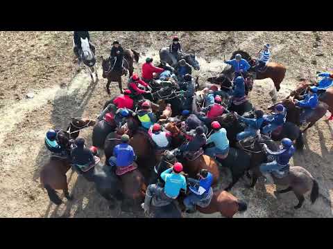 Видео: 09 11 2025 Көкпар