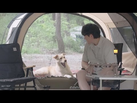 Видео: Расслабляющий дневной поход с моей собакой ⛺🐶 | Успокаивающие звуки ручья и лесная атмосфера