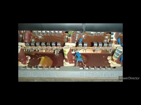 Видео: 1993год Беларусь экспортная Селена крутая на содержание