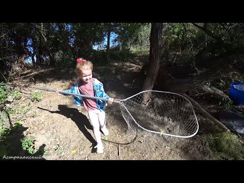 Видео: В 3 ГОДА ОБРЫБИЛАСЬ. РЕБЁНОК НА РЫБАЛКЕ ВПЕРВЫЕ. Рыбалка на поплавок. Рыбалка на поплавочную удочку.
