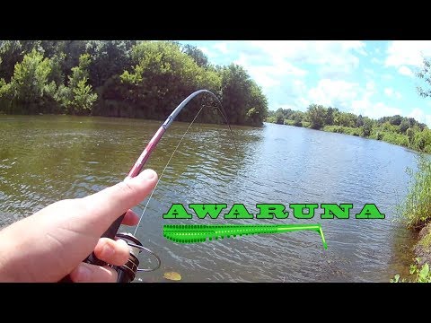 Видео: Со спиннингом и с Pontoon 21 Awaruna по реке Ворона