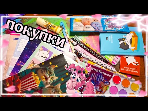 Видео: 💗Милая Канцелярия из SweetCat!🍡😺Обзор канцелярии | SweetCat Shop
