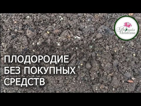 Видео: КАК ПОВЫСИТЬ ПЛОДОРОДИЕ БЕЗ ПОКУПНЫХ СРЕДСТВ