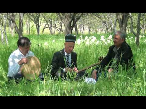 Видео: Тощбой Мухабатов