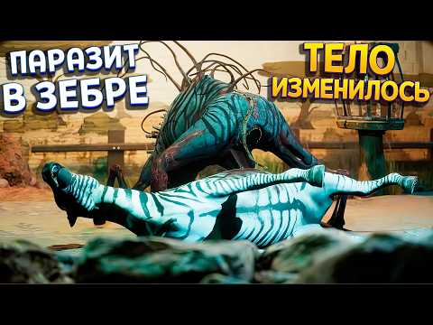 Видео: ПАРАЗИТ ИЗМЕНИЛ ТЕЛО ЗЕБРЫ ( Zoochosis )