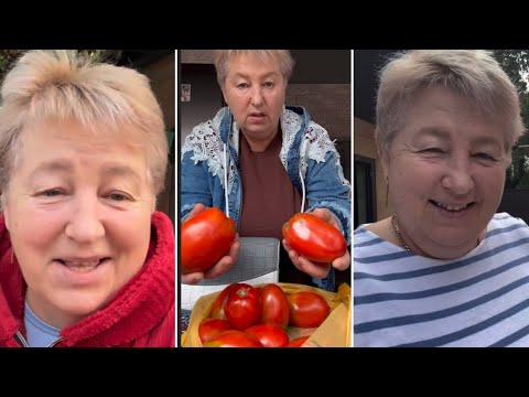 Видео: ОЦЕ - ПОМІДОРИ, ОЦЕ - УРОЖАЙ, ОЦЕ - НАСОЛОДА🍅