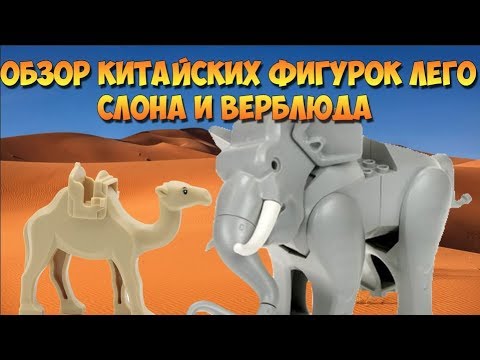 Видео: РЕДКИЕ ФИГУРКИ: НОВИНКА!!! ЛЕГО СЛОН И ВЕРБЛЮД ИЗ КИТАЯ