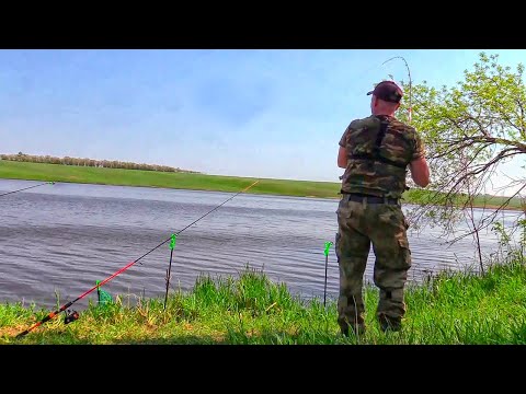 Видео: РЫБЫ - УРОДЫ АТАКУЮТ! Закинул закидушки и понеслось. Рыбалка удалась!