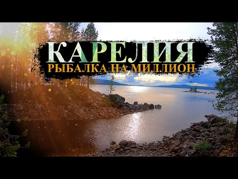 Видео: Карелия 2023 || Рыбалка на миллион || Ловим Карельских щук || Высохшее озеро Карелии || Дикий окунь