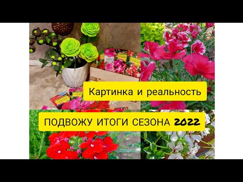 Видео: КАРТИНКА И РЕАЛЬНОСТЬ. ПОДВОЖУ ИТОГИ СЕЗОНА 2022.