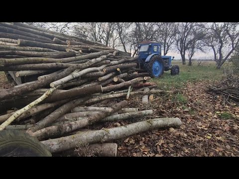 Видео: Як ми в ліс за безплатною деревиною їздили! Трактор Т 40 та трохи болота