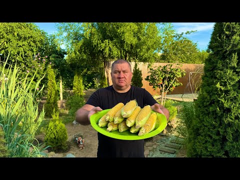 Видео: Жареная кукуруза на мангале!